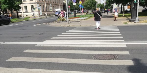 Дорожная разметка пешеходный переход